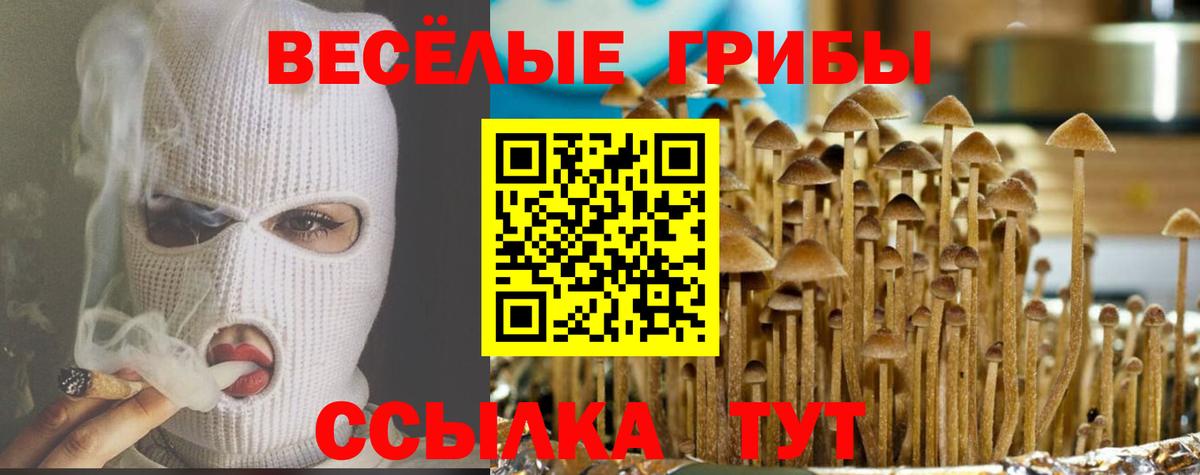 Галлюциногенные грибы Psilocybe  Вход с VPN  дарнет шоп  Среднеуральск 